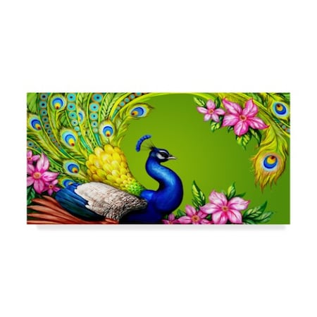 Maria Rytova 'Gorgeous Peacock' Canvas Art,16x32